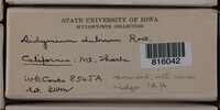 Image Associated With the Occurence